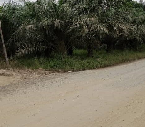 TERRAIN A VENDRE TSEVIE 1 LOT immooz